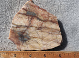 Brushfire Jasper Slab 346