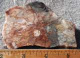 Brushfire Jasper Slab 393
