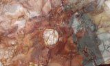 Brushfire Jasper Slab 393