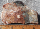 Brushfire Jasper Slab 393