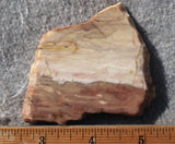 Brushfire Jasper Slab 399
