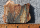 Brushfire Jasper Slab 339