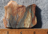 Brushfire Jasper Slab 339
