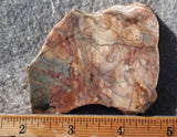 Brushfire Jasper Slab 350