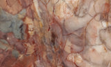 Brushfire Jasper Slab 350