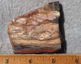 Brushfire Jasper Slab 345