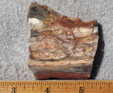 Brushfire Jasper Slab 342