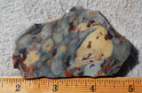 Brushfire Jasper Slab 344