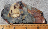 Brushfire Jasper Slab 380