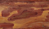 Brushfire Jasper Slab 385