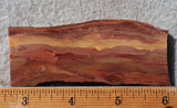 Brushfire Jasper Slab 337