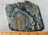 Plasma Agate Rock Slab 199
