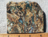 Plasma Agate Rock Slab 188