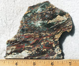 Plasma Agate Rock Slab 187