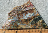 Plasma Agate Rock Slab 191
