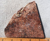 Sagenite Rock Slab 75