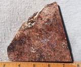 Sagenite Rock Slab 75