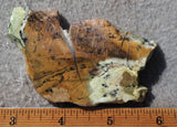 Contact Chrysocolla Slab 98