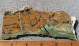 Contact Chrysocolla Slab 97