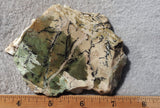 Contact Chrysocolla Slab 89
