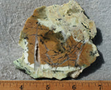 Contact Chrysocolla Slab 96