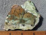 Contact Chrysocolla Slab 95