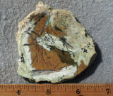Contact Chrysocolla Slab 92
