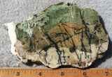 Contact Chrysocolla Slab 86