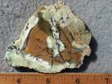 Contact Chrysocolla Slab 91