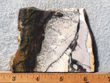 Burro Creek Agate Rock Slab 76