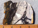 Burro Creek Agate Rock Slab 75