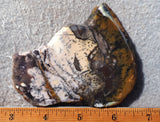 Burro Creek Agate Rock Slab 69