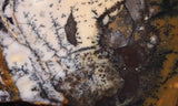 Burro Creek Agate Rock Slab 69