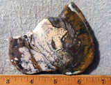 Burro Creek Agate Rock Slab 69