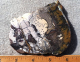 Burro Creek Agate Rock Slab 73