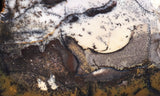 Burro Creek Agate Rock Slab 73