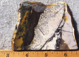 Burro Creek Agate Rock Slab 79