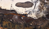 Burro Creek Agate Rock Slab 72