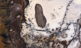 Burro Creek Agate Rock Slab 72