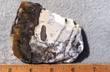 Burro Creek Agate Rock Slab 72