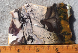 Burro Creek Agate Rock Slab 74