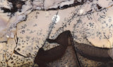 Burro Creek Agate Rock Slab 74