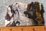 Burro Creek Agate Rock Slab 74