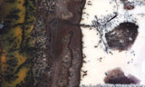 Burro Creek Agate Rock Slab 84