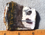 Burro Creek Agate Rock Slab 84