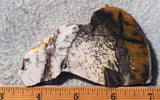 Burro Creek Agate Rock Slab 80