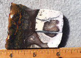 Burro Creek Agate Rock Slab 82