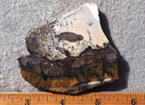 Burro Creek Agate Rock Slab 71