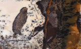 Burro Creek Agate Rock Slab 71