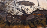 Burro Creek Agate Rock Slab 71